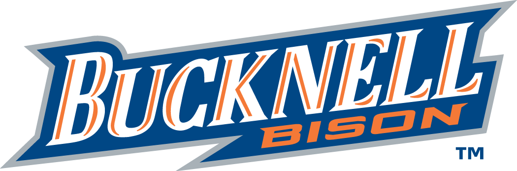 Bucknell Bison 2002-Pres Wordmark Logo v2 diy iron on heat transfer